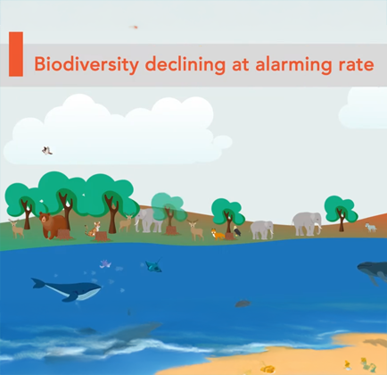 Interactive Videos for RCE Network project thumbnail